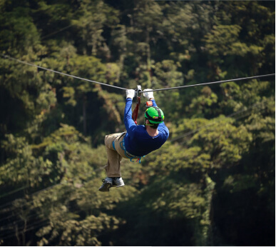 Canopy